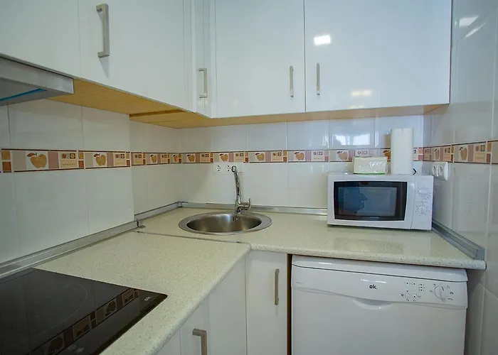 091 Trinidad Atico - Alicante Apartment *